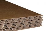 Triplex Koli